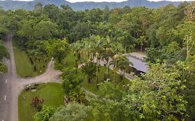 Daintree Siesta